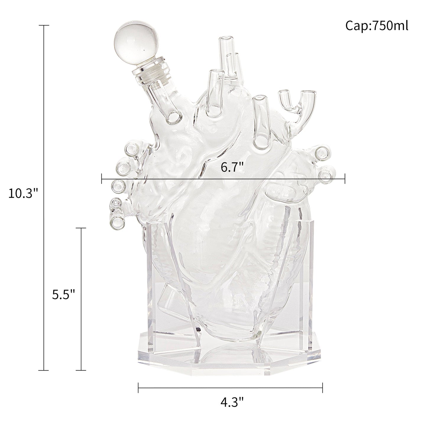 Heart Decanter Whiskey & Wine Decanter Set By The Wine Savant, Organ Aerator, Funny Gift for that Someone You Love! Gift For Doctors, Cardiothoracic Surgeons, Nurse, Pre-Med, Adults (750 ML)