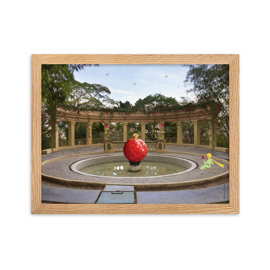 Caraqueño Little Prince 11 Framed matte paper photo - KATHIANA CARDONA STORE