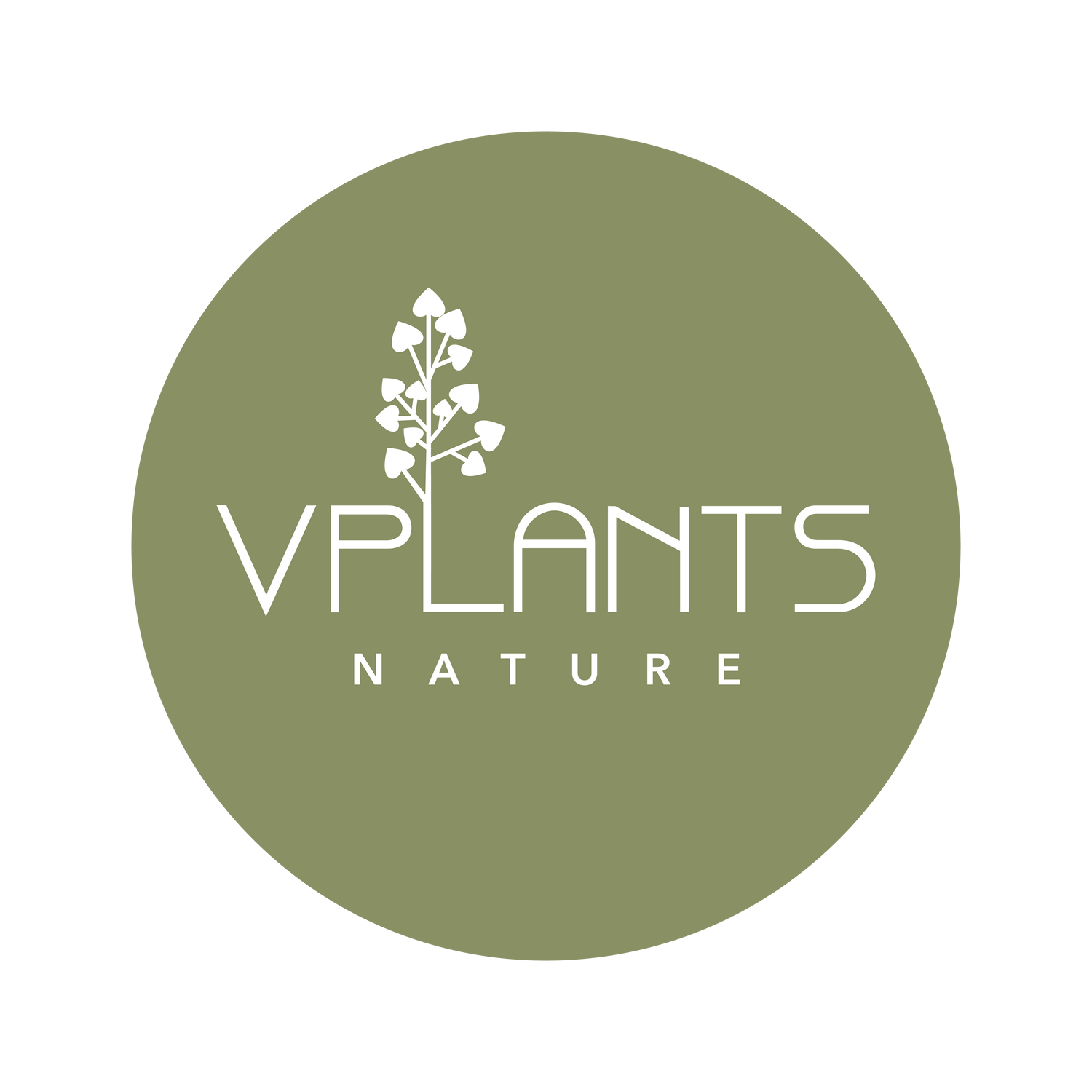 VPLANTS